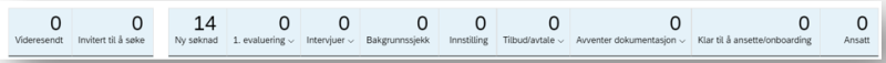 Skjermbildet av en oversikt over ulike statuser som er synlige for HR-representant