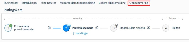 Skjermbilde av oppsummering av prøvetidssamtalen