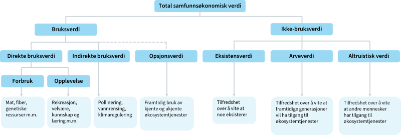 Figuren viser sammenhengene mellom total samfunnsøkonomisk verdi og økosystemtjenester.