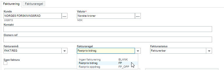 Skjermbilde som viser hva som kan fylles ut i feltet Fakturaregel