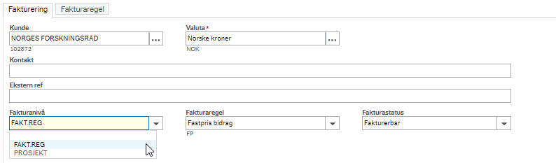 Skjermbilde som viser skillekortet Fakturering