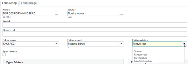 Bildet viser skillearket Fakturering med utfylte felt