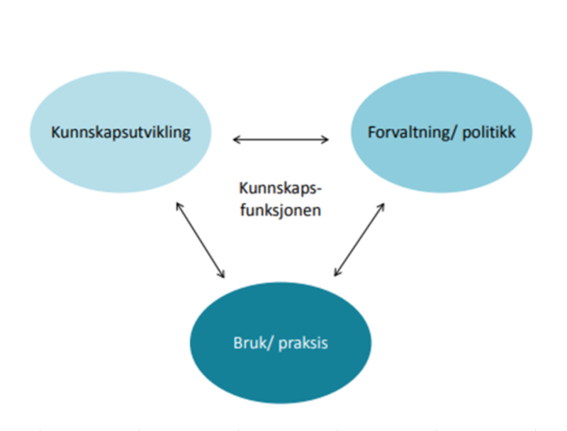 Figur med beskrivelse av kunnskapsfunksjonen