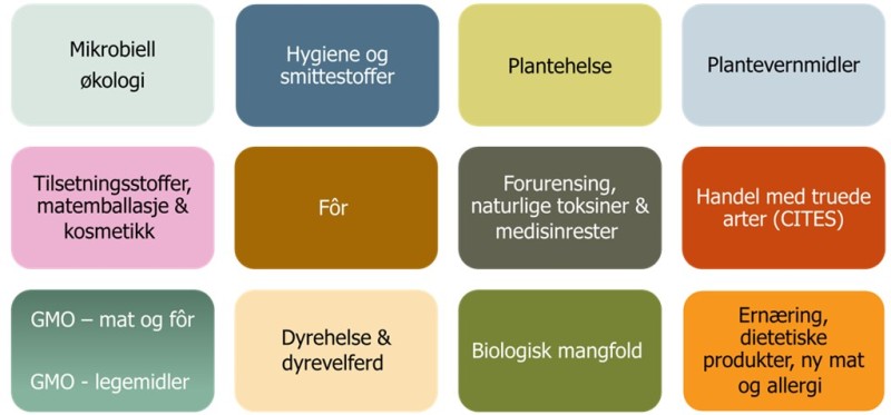 De ulike faggruppene VKM dekker i dag