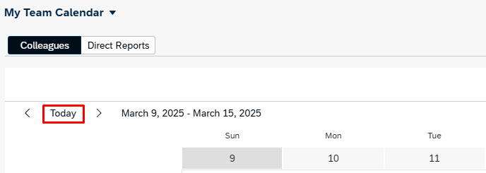 image showing today button
