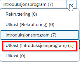 utkast introduksjonsprogram 