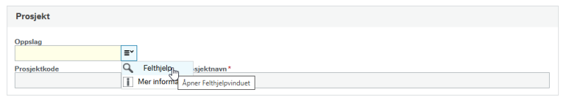 Skjermbilde av system. 