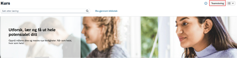 Bildet viser knappen "Teamvisning".