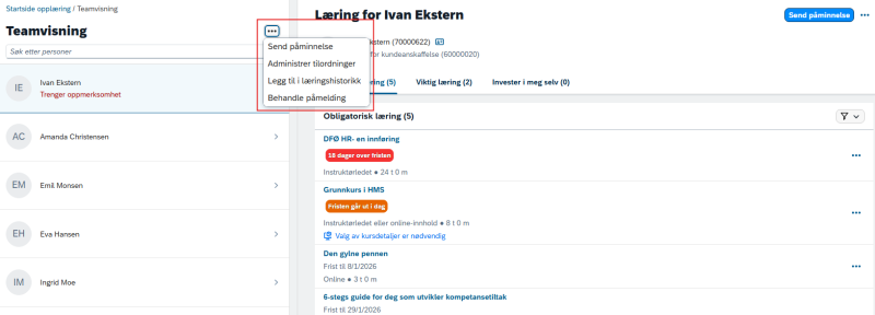 Bildet viser valgene under ikonet i teamvisning.
