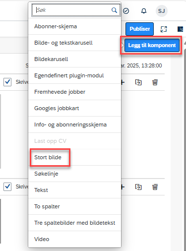 Bildet viser Legg til komponent og valget Stort bilde