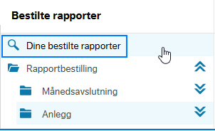 Dine bestilte rapporter