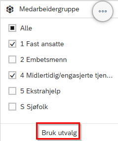 Bildet viser valget Bruk utvalg under filter