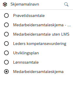 Bildet viser filteret til Skjemamalnavn