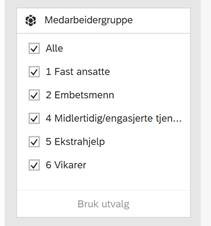 Bildet viser filter for Medarbeidergrupper
