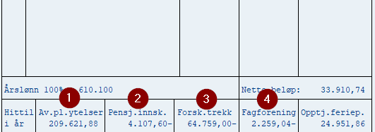 Bildet viser lønnsslipp