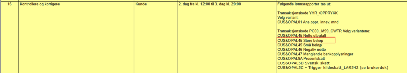 Bildet viser et skjembilde fra DFØ sin sjekkliste for hovedlønnskjøring.