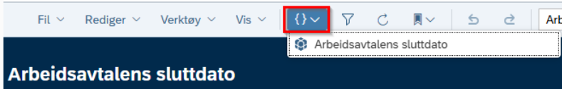 Bildet viser menyen øverst i rapportvinduet.