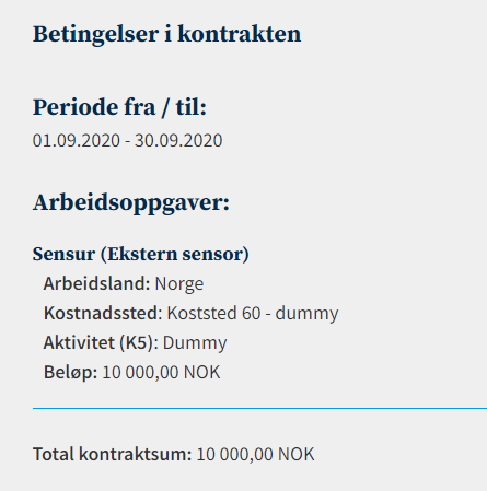 Skjermbildet viser eksempel på betingelser i kontrakten.