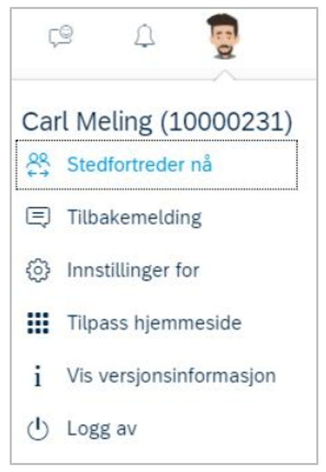Skjermbilde av Stedfortredertildeling.