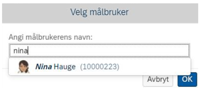 Skjermbilde av valgt målbruker. 