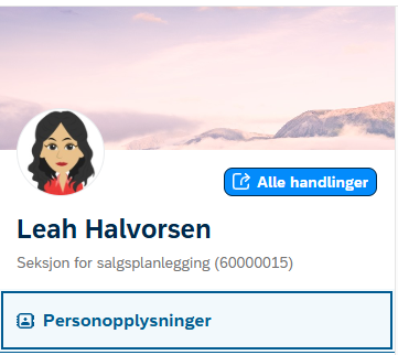 Skjermbilde av "Personopplysninger". 
