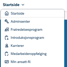 Skjermbilde av startsidemeny i DFØ HR. 
