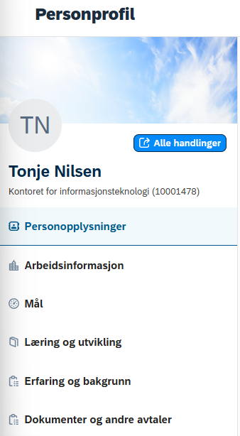 Skjermbilde av personprofil.