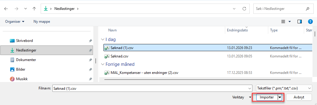 Bildet viser importer-knappen i Excel.