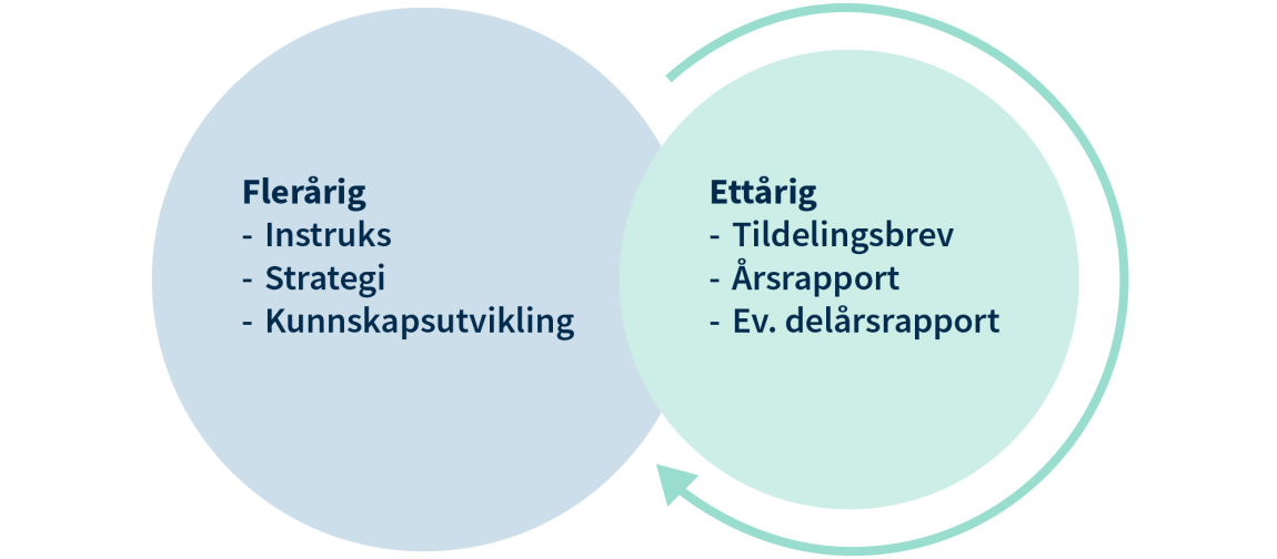 Figuren viser at styring foregår flerårig, f.eks. instruks, strategi og læring, og årlig, f.eks. tildelingsbrev, årsrapport og ev. delårsrapporter.