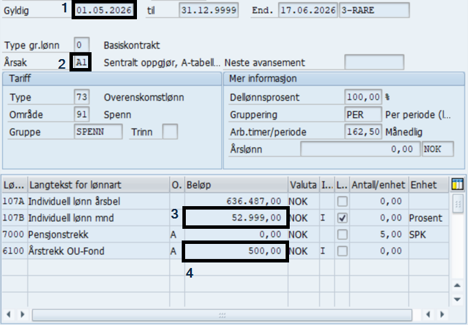 Bildet viser eksempel på infotype 0008